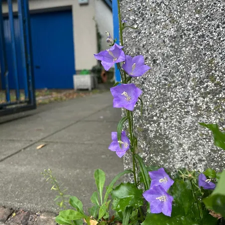 1948 Es War Einmal Appartamento *