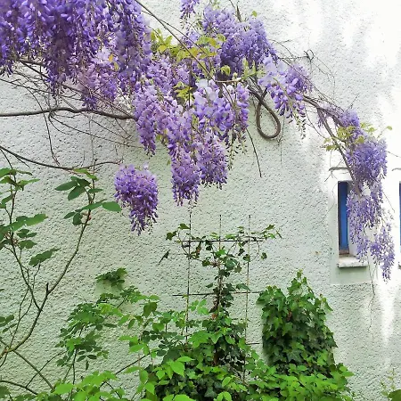 1948 Es War Einmal Апартаменты