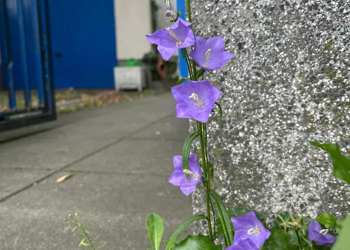 1948 Es War Einmal Apartmán *